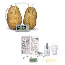 GREEN SCIENCE PATATO CLOCK ()